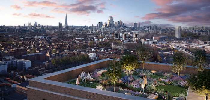 Communal roof garden at night